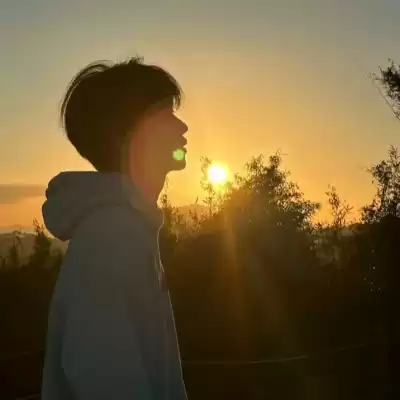盖菊华